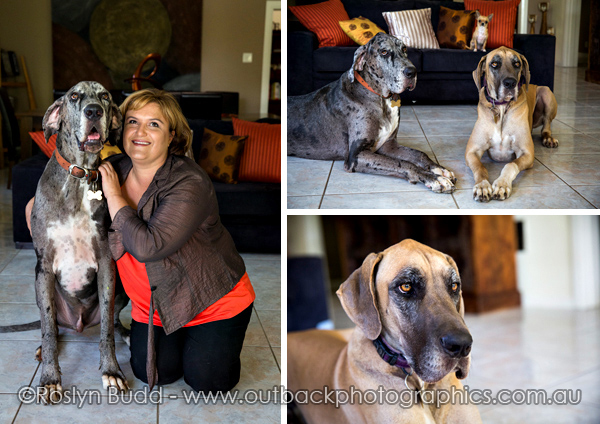 ©Roslyn Budd - www.buddphotography.com.au