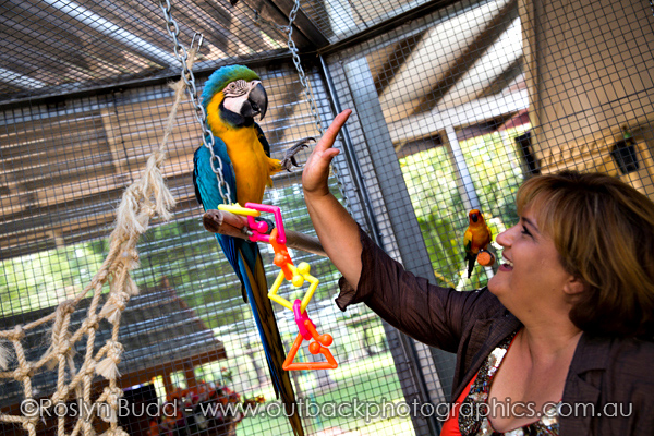 ©Roslyn Budd - www.buddphotography.com.au