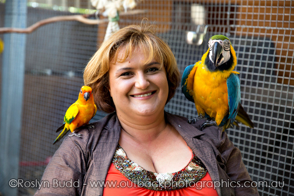 ©Roslyn Budd - www.buddphotography.com.au