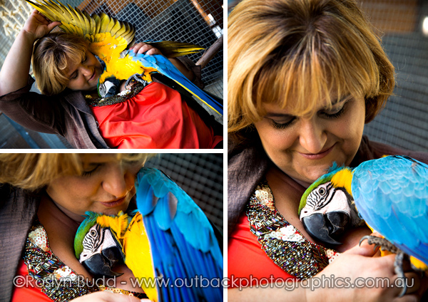 ©Roslyn Budd - www.buddphotography.com.au