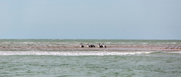 ©Roslyn Budd - www.buddphotography.com.au