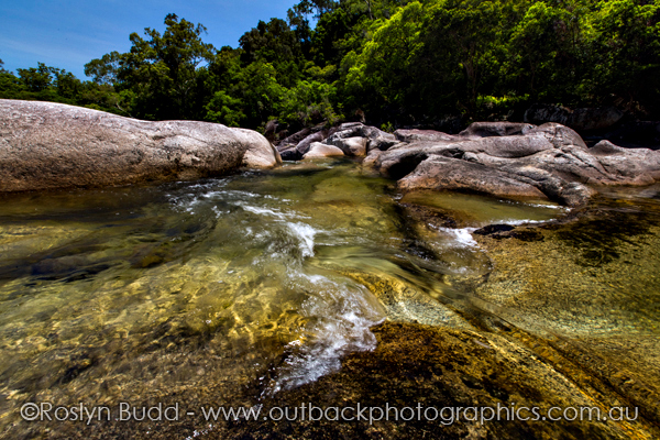 ©Roslyn Budd - www.buddphotography.com.au