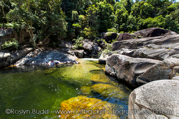 ©Roslyn Budd - www.buddphotography.com.au