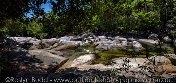 ©Roslyn Budd - www.buddphotography.com.au