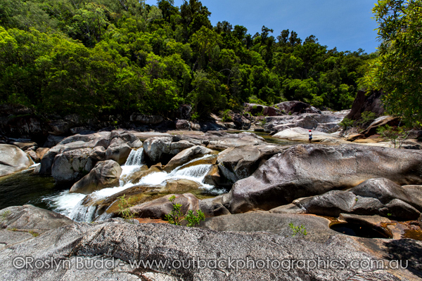 ©Roslyn Budd - www.buddphotography.com.au