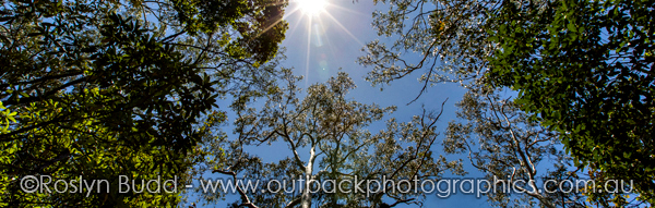 ©Roslyn Budd - www.buddphotography.com.au