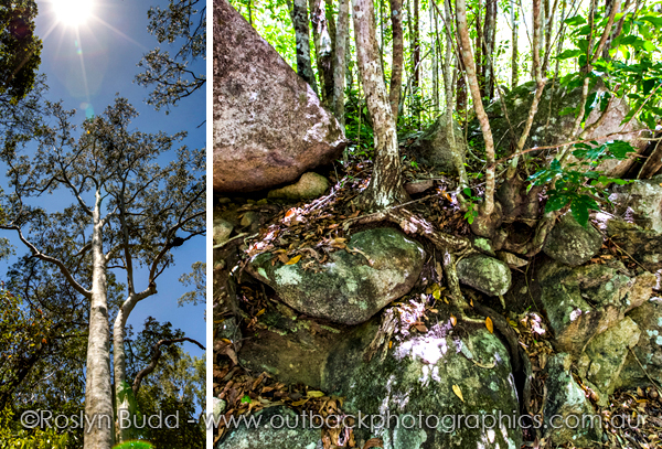 ©Roslyn Budd - www.buddphotography.com.au