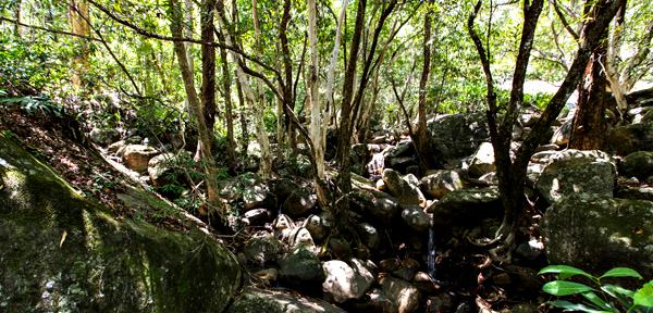 ©Roslyn Budd - www.buddphotography.com.au