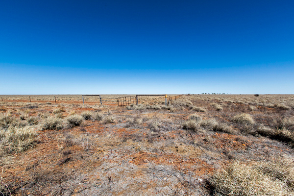 ©Roslyn Budd - www.buddphotography.com.au