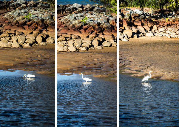 ©Roslyn Budd - www.buddphotography.com.au