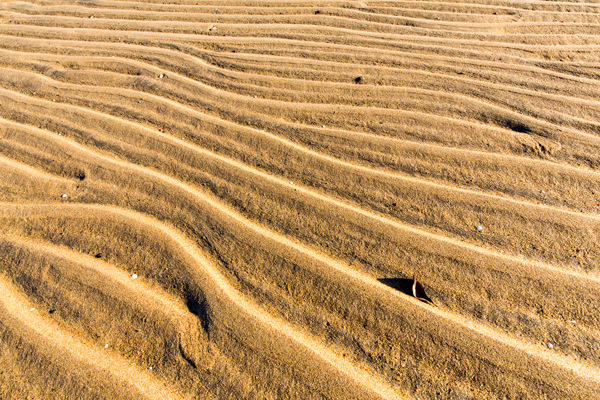 ©Roslyn Budd - www.buddphotography.com.au