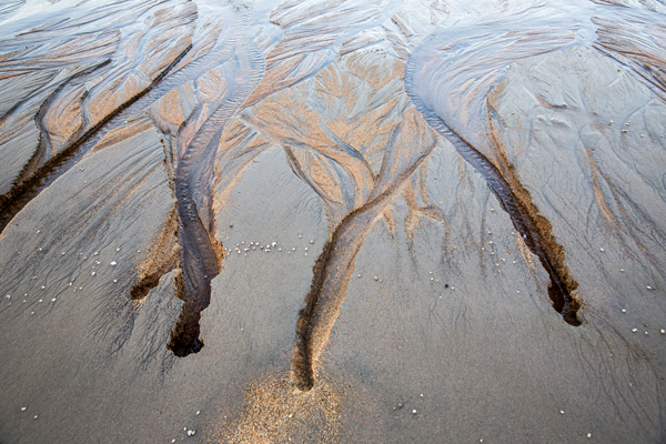 ©Roslyn Budd - www.buddphotography.com.au