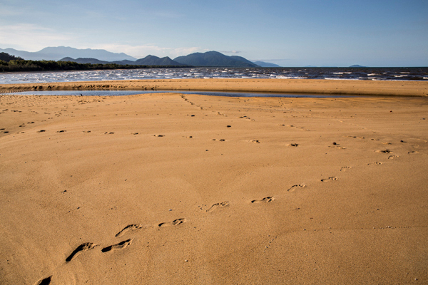 ©Roslyn Budd - www.buddphotography.com.au