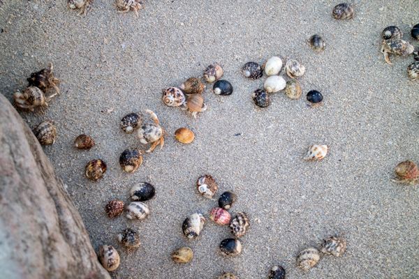 Broome, Western Australia, Budd Photography