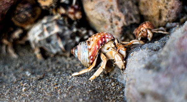 Broome, Western Australia, Budd Photography