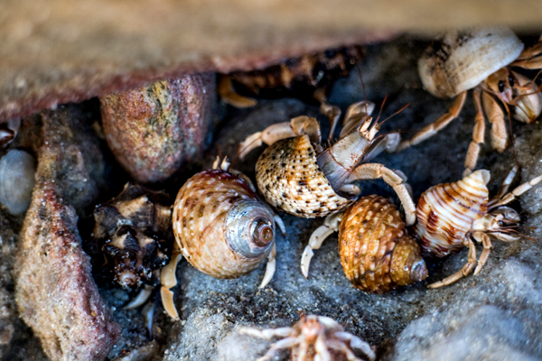 Broome, Western Australia, Budd Photography