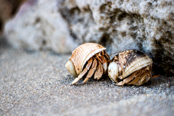 Broome, Western Australia, Budd Photography