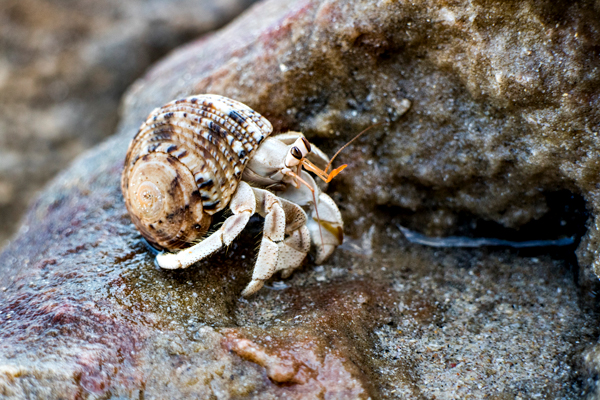 Broome, Western Australia, Budd Photography