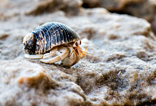 Broome, Western Australia, Budd Photography