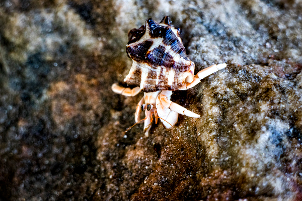 Broome, Western Australia, Budd Photography