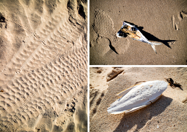 Broome, Western Australia, Budd Photography