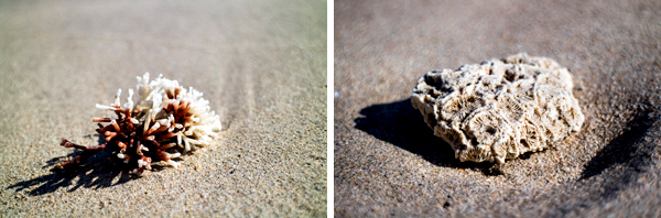 Broome, Western Australia, Budd Photography