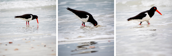Broome, Western Australia, Budd Photography