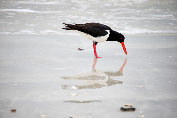 Broome, Western Australia, Budd Photography