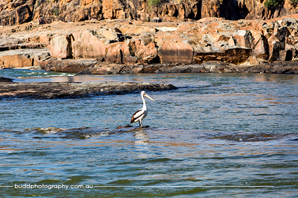 Burdekin Falls Dam_©Roslyn Budd