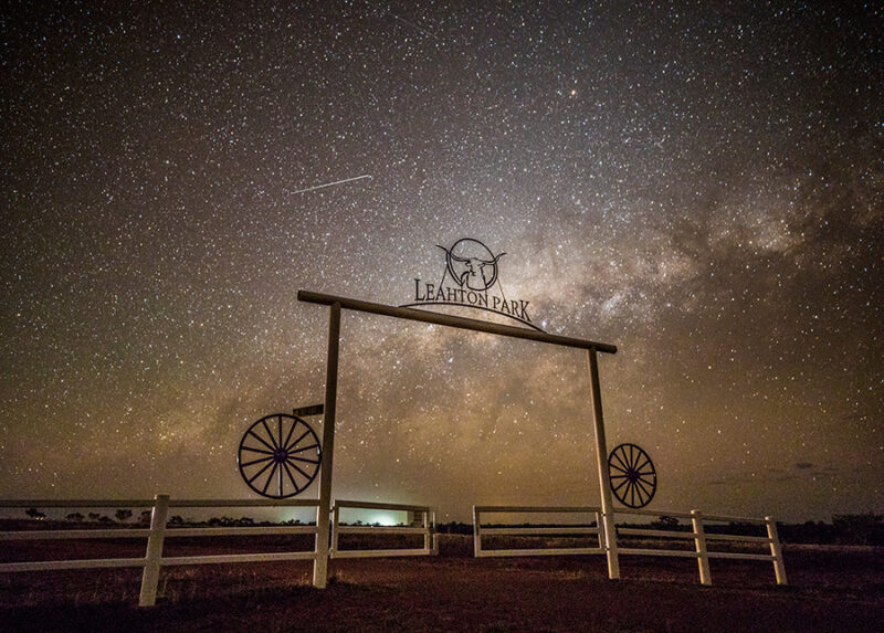 Ravenswood, Charters Towers and Texas Longhorn Tours at Leahton Park