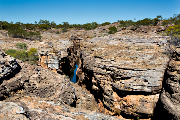 ©Roslyn Budd - www.buddphotography.com.au