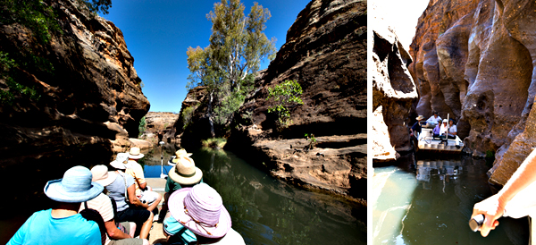 ©Roslyn Budd - www.buddphotography.com.au