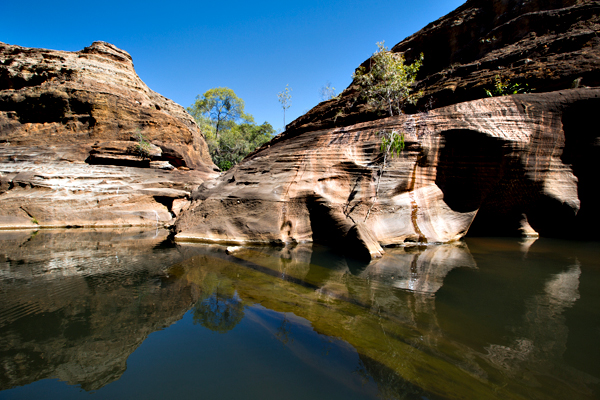 ©Roslyn Budd - www.buddphotography.com.au