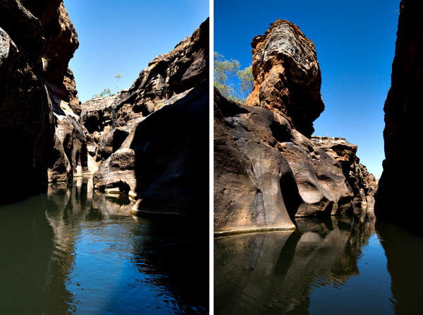 ©Roslyn Budd - www.buddphotography.com.au