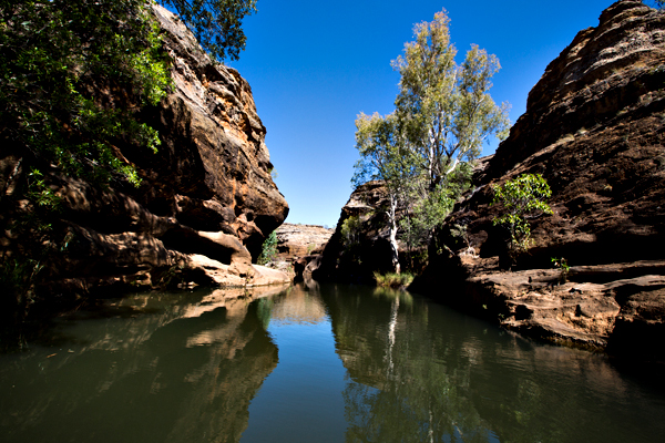 ©Roslyn Budd - www.buddphotography.com.au