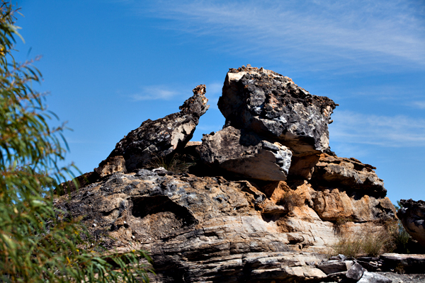 ©Roslyn Budd - www.buddphotography.com.au