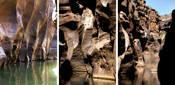 ©Roslyn Budd - www.buddphotography.com.au