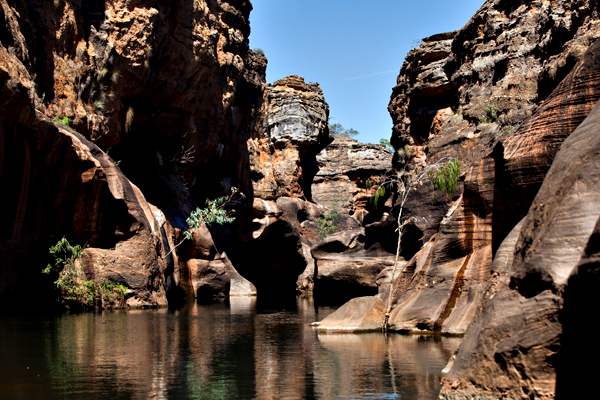 ©Roslyn Budd - www.buddphotography.com.au