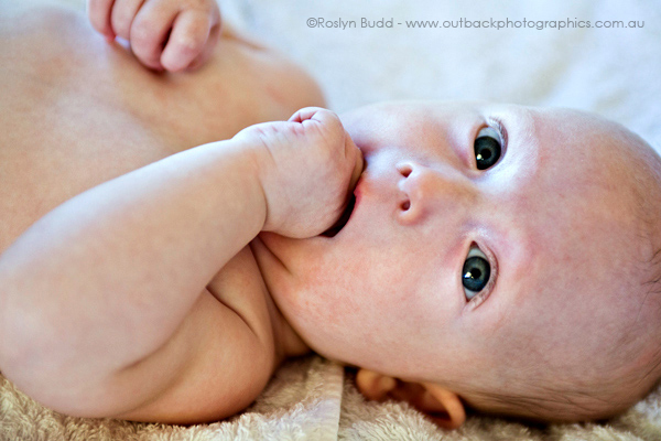 ©Roslyn Budd - www.buddphotography.com.au