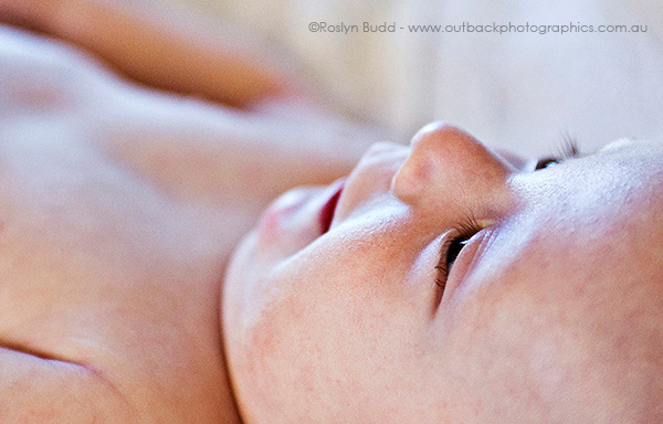 ©Roslyn Budd - www.buddphotography.com.au