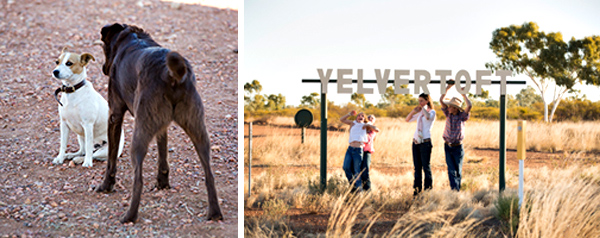 ©Roslyn Budd - www.buddphotography.com.au