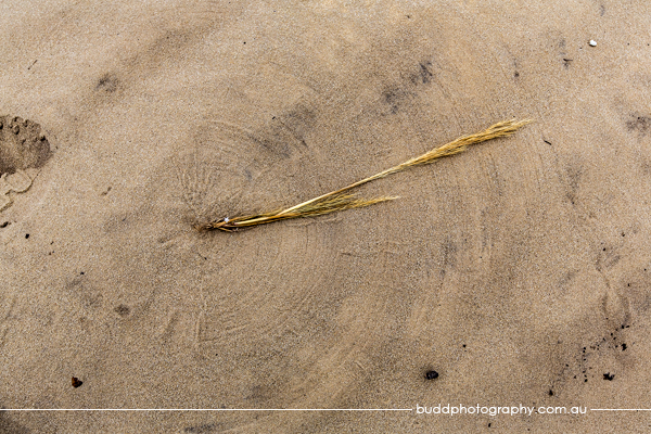 Drovers Cave National Park, Western Australia