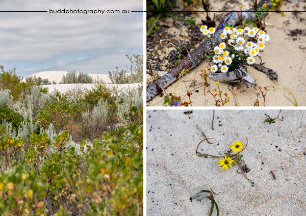 Drovers Cave National Park, Western Australia