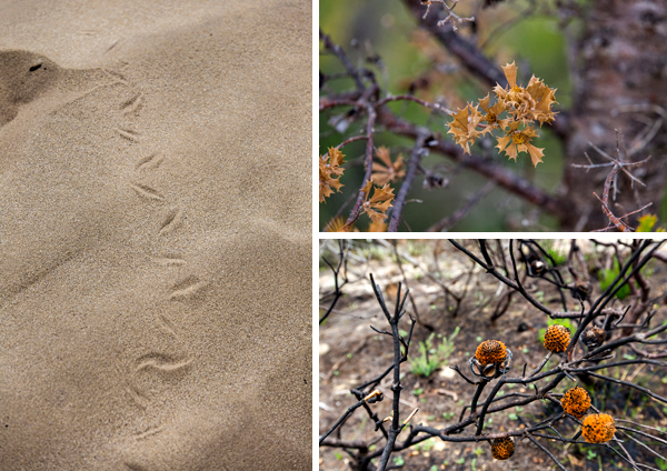 Drovers Cave National Park, Western Australia