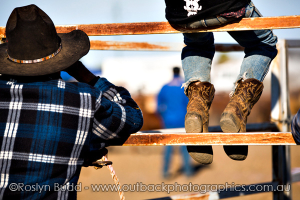 ©Roslyn Budd - www.buddphotography.com.au
