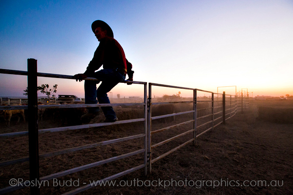 ©Roslyn Budd - www.buddphotography.com.au