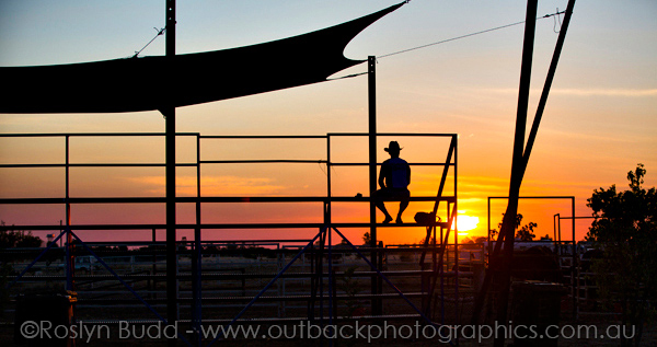 ©Roslyn Budd - www.buddphotography.com.au