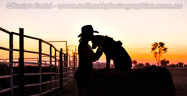 ©Roslyn Budd - www.buddphotography.com.au