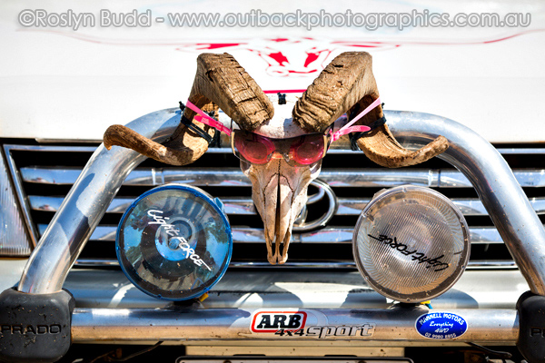 ©Roslyn Budd - www.buddphotography.com.au