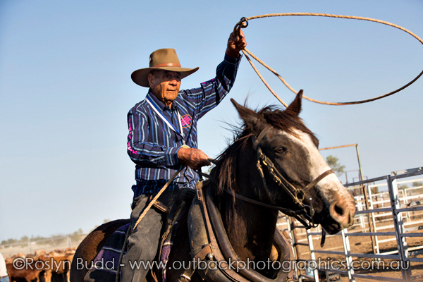 ©Roslyn Budd - www.buddphotography.com.au